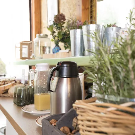 Ξενοδοχείο Rural El Refugio - Solo Adultos Tejeda (Gran Canaria)